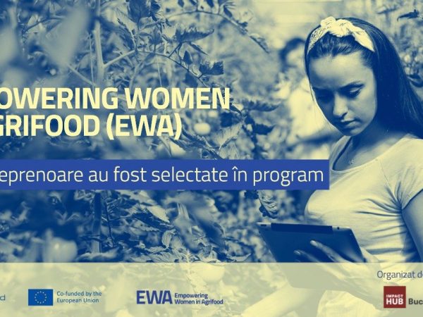 EWA-2025-–-selectie.png